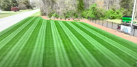 GCI Turf Ryegrass